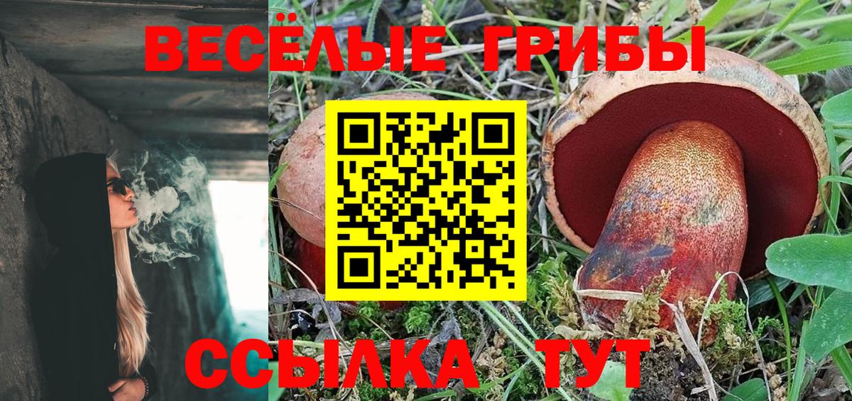 Галлюциногенные грибы Magic Shrooms Нижнекамск
