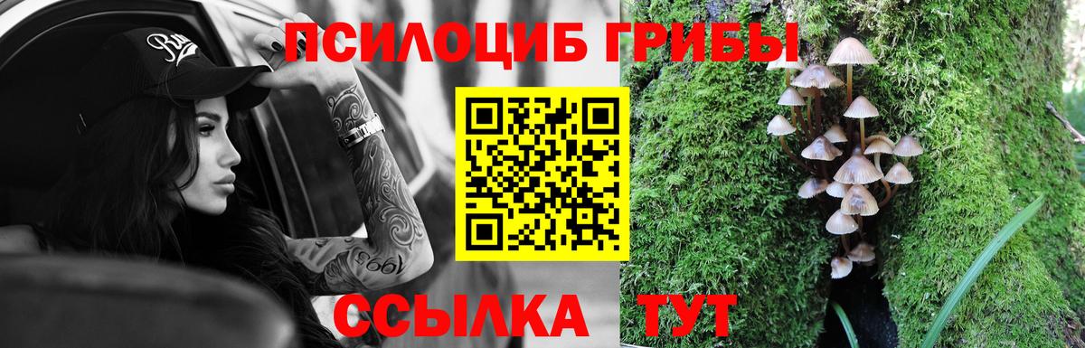 Псилоцибиновые грибы Cubensis  Галлюциногенные грибы мицелий  хочу наркоту  Нижнекамск  Вход с VPN 